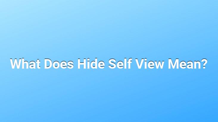 What Does Hide Self View Mean?