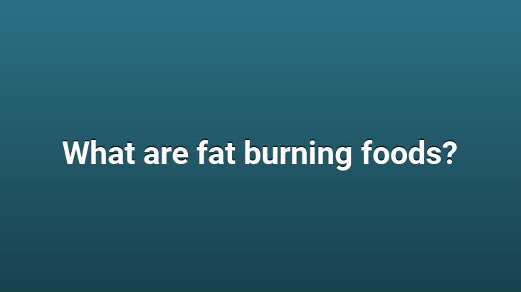 What are fat burning foods?