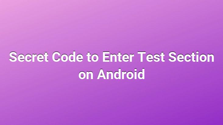 Secret Code to Enter Test Section on Android