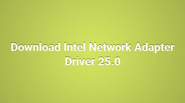 Download Intel Network Adapter Driver 25.0