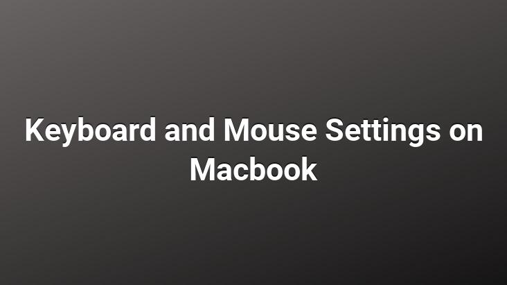 Keyboard and Mouse Settings on Macbook